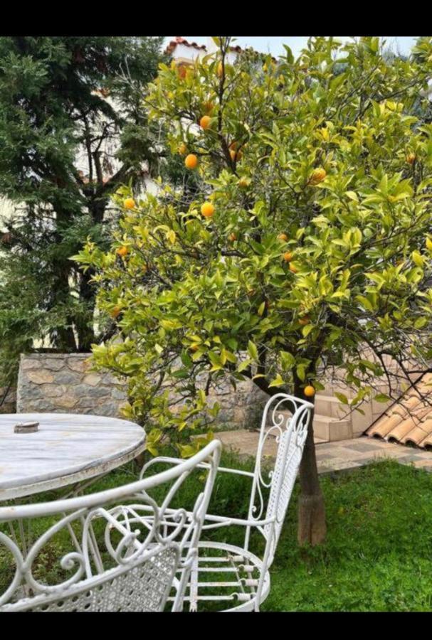 Villa Sul Mare Chalkís Buitenkant foto