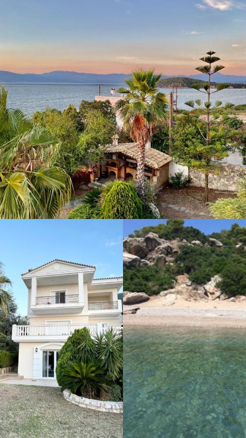 Villa Sul Mare Chalkís Buitenkant foto